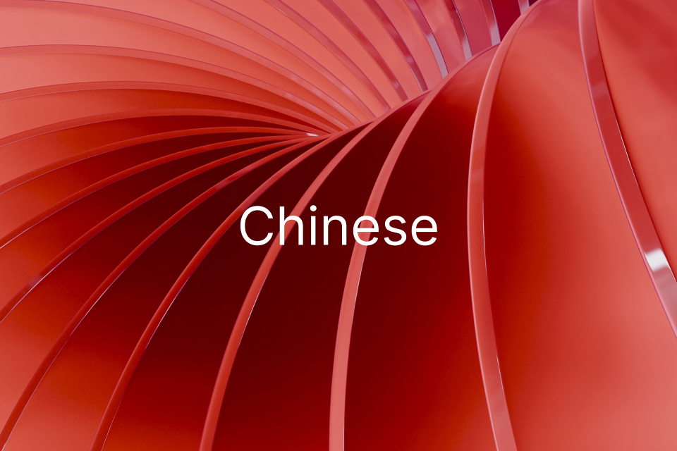 Chinese: A Comprehensive Guide to the Language of China