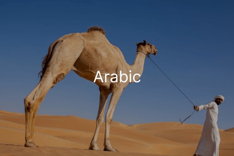 Arabic: A Comprehensive Guide to a Global Language