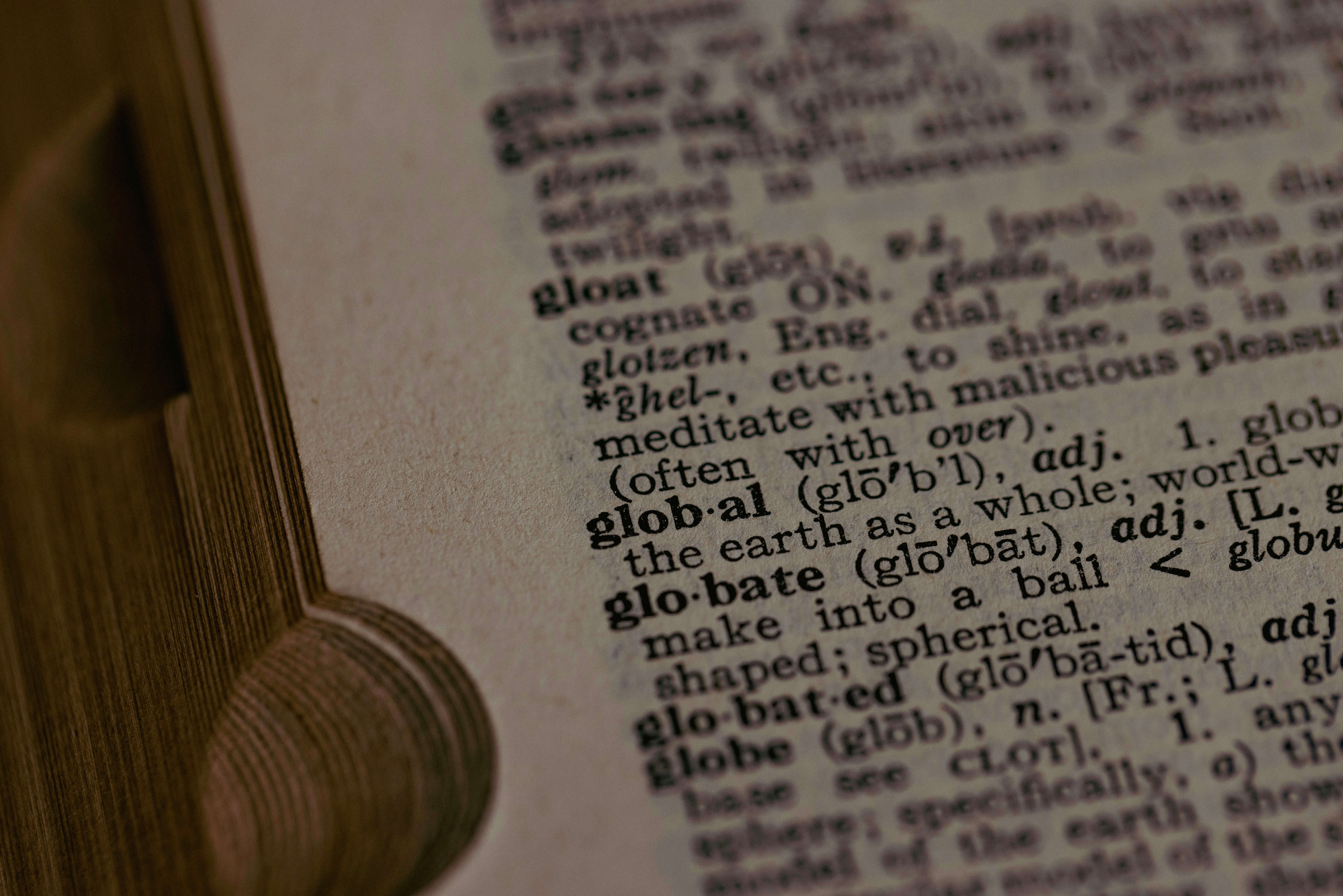 Close-up of an English dictionary page highlighting vocabulary words
