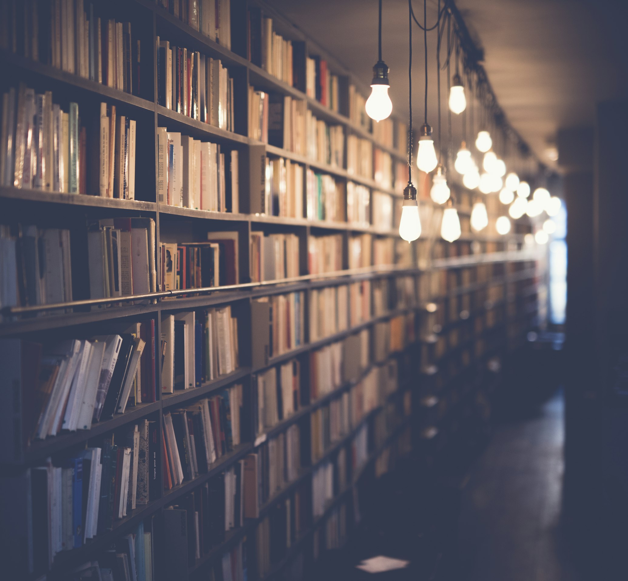 Bookshelves and warm reading lights in a study space