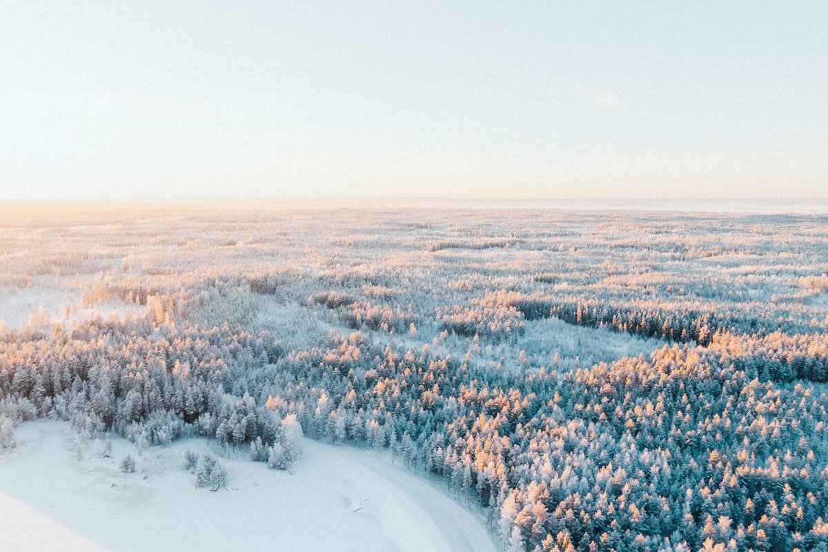 Snow-covered Finnish winter forest landscape