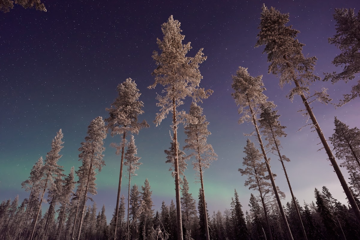 Northern lights over a Finnish landscape