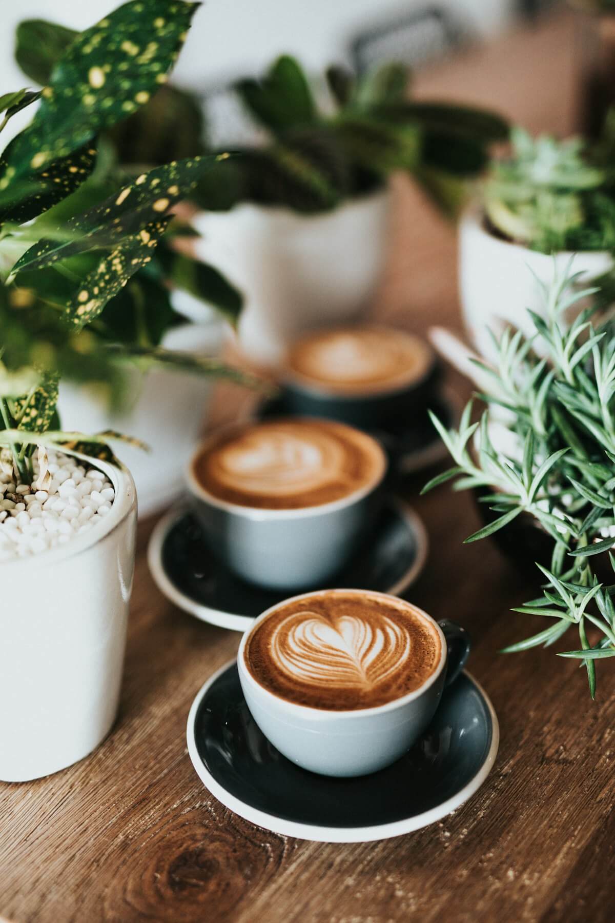 A customer ordering coffee and using everyday English phrases at a cafe counter